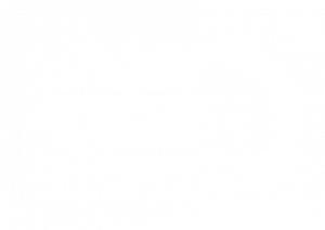 logo-thaleos-connect